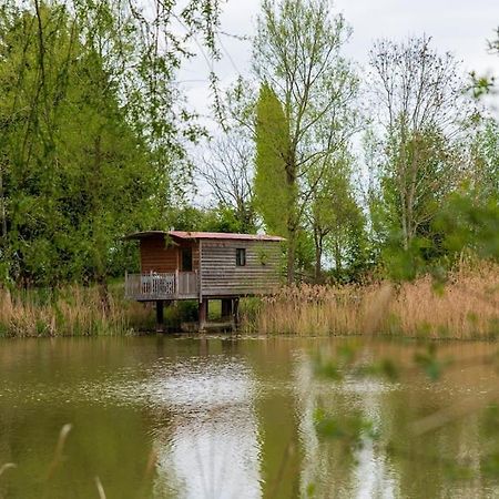 فيلا Lakeside Cabin On Stilts- 'Kingfisher' Rous Lench المظهر الخارجي الصورة