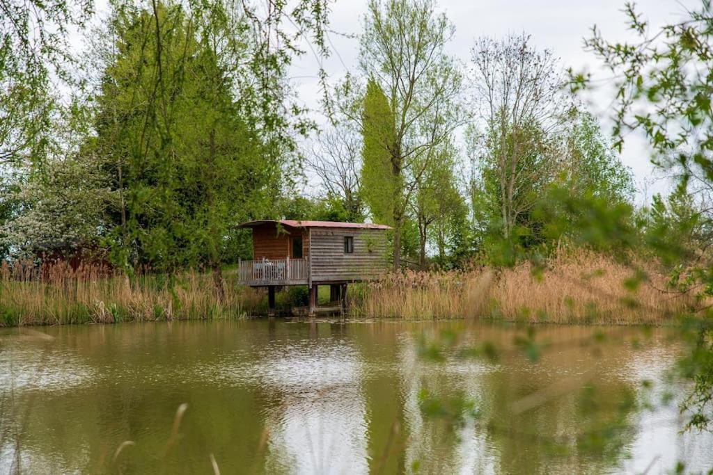 Lakeside Cabin On Stilts- 'Kingfisher' Rous Lench المظهر الخارجي الصورة